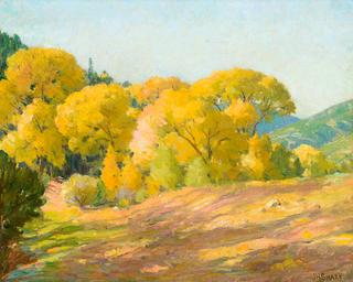 Cottonwood Canyon, Taos