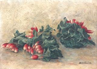 Radishes