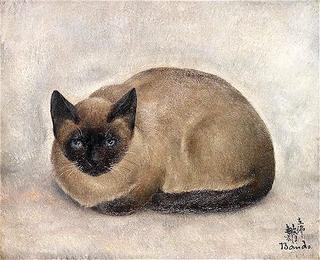 Siamese Cat