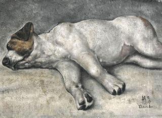 Small Dog Sleeping