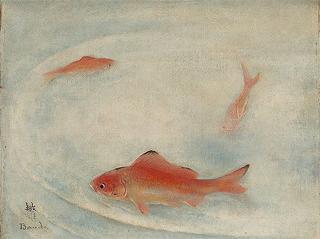 Carp