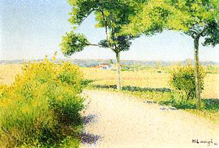 Road Bordered by Broom Flowers by Cailhau