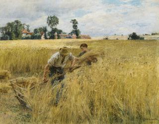 Moisson près du ru Chailly