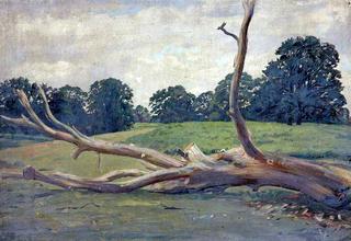 Bare Log in a Field