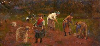 Field Workers Digging Potatoes
