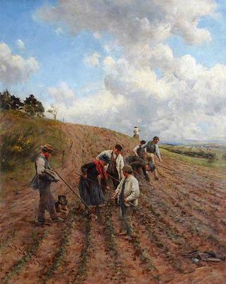 Turnip Singlers – A Hard Taskmaster