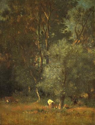 Forest View
