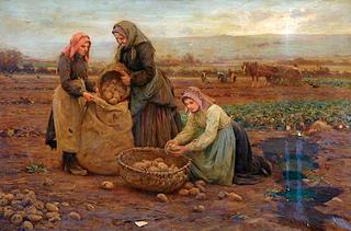 The Potato Pickers