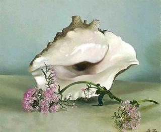 A conch shell and pinks