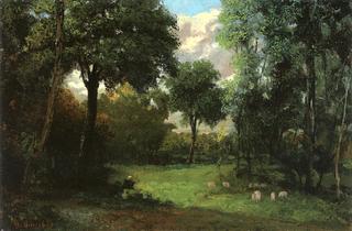 The Clearing