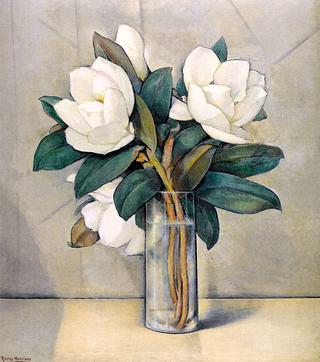 Magnolias