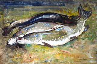 Pike