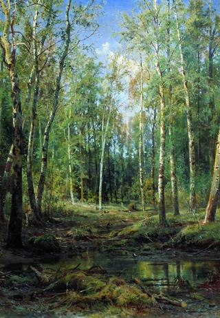 Birch Grove