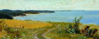 The Seashore