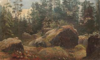Rocks in the Wood