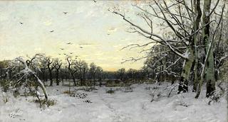 Winter Landscape