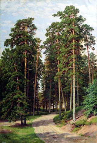 Sunlit Forest
