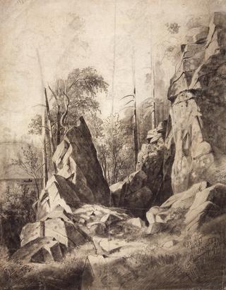 Trees on the Rocks