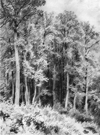 Trees