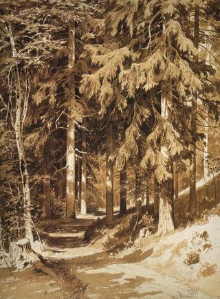 Path in the Woods