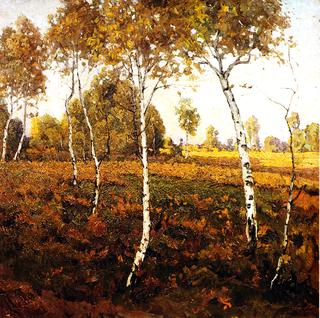 Birches