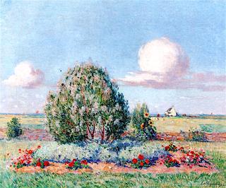 Flower Bed
