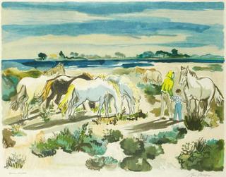 Paysage de Camargue