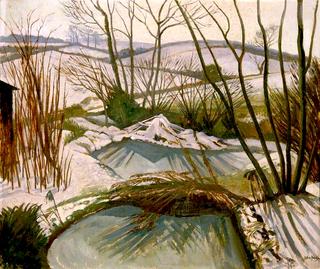 Frozen Ponds