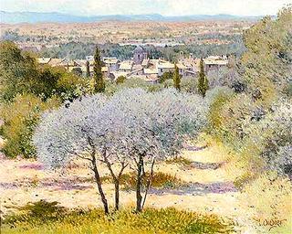 Olive Tree at Merindol
