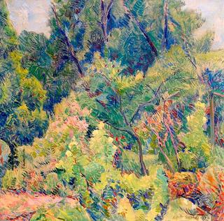 Garden near a Wood