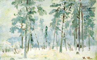 Forest in Winter
