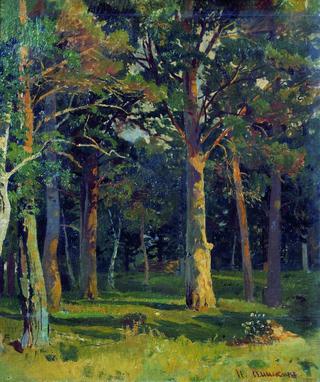 Forest