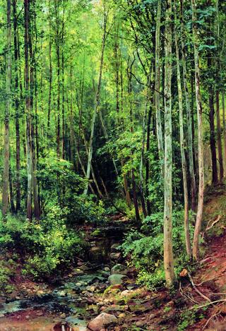 Aspen Grove