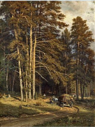 Forest Path