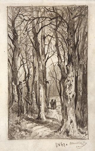 Forest Path
