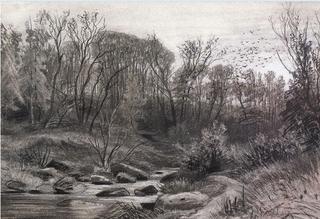 Woodland Brook