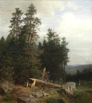 The Forest Edge
