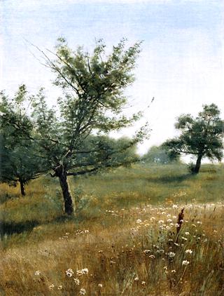 In the Orchard