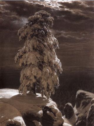 In the Wild North (study)
