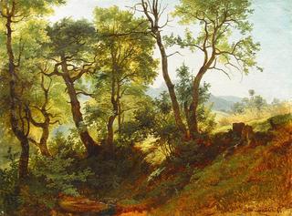 Forest Edge