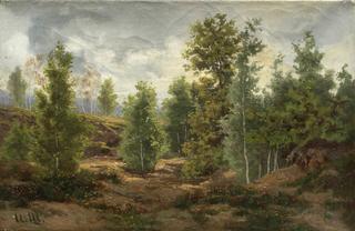 Forest Edge