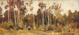 Landscape