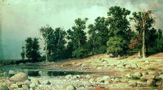 Grove in Sestroretsk