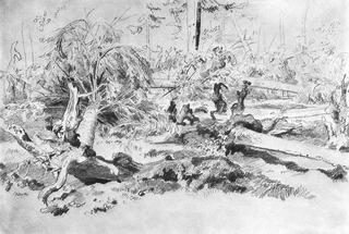 A Fallen Tree