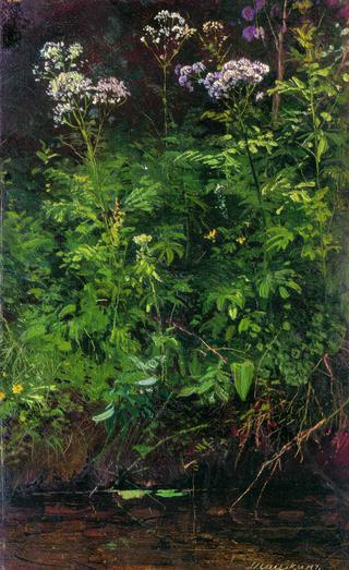 Wild Flowers