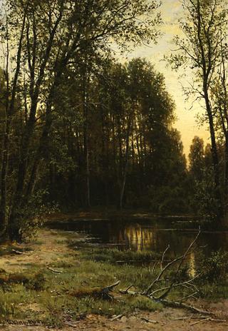 Forest Pond