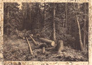A Tree Cut in the Forest