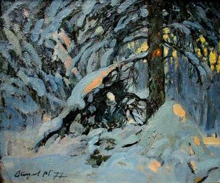 Winter Evening in the Forest