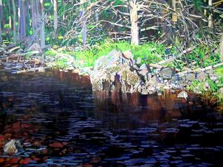 Forest Stream