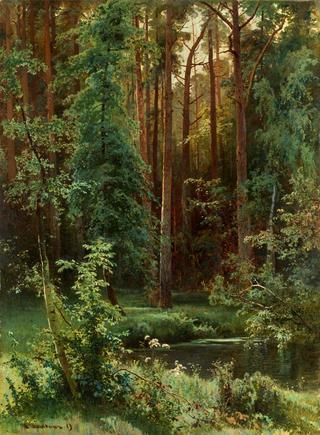 Forest
